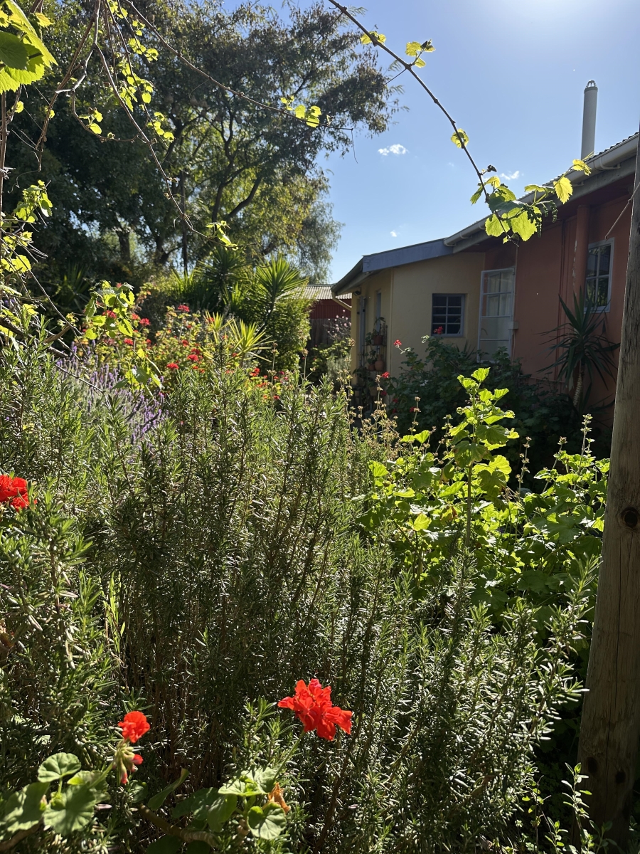 3 Bedroom Property for Sale in Barrydale Western Cape